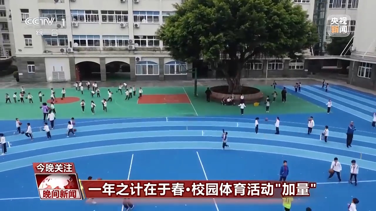 色表现