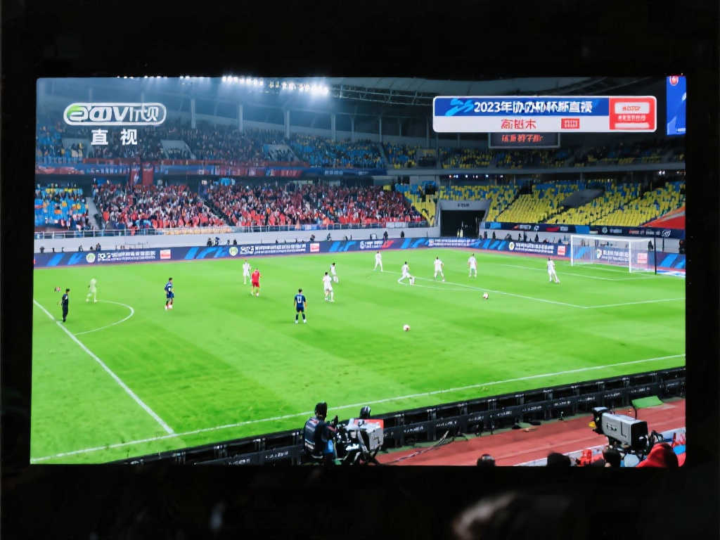 的穩健表現 的穩健表現