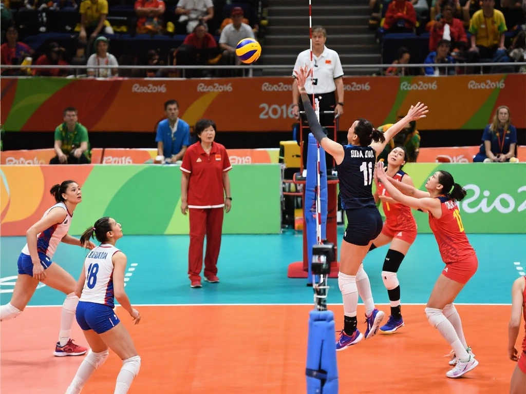 浙江队此次 浙江队此次