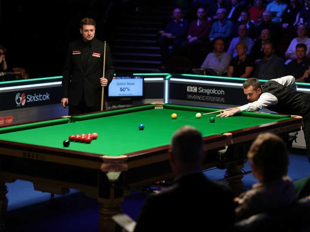 在最近的一 在最近的一