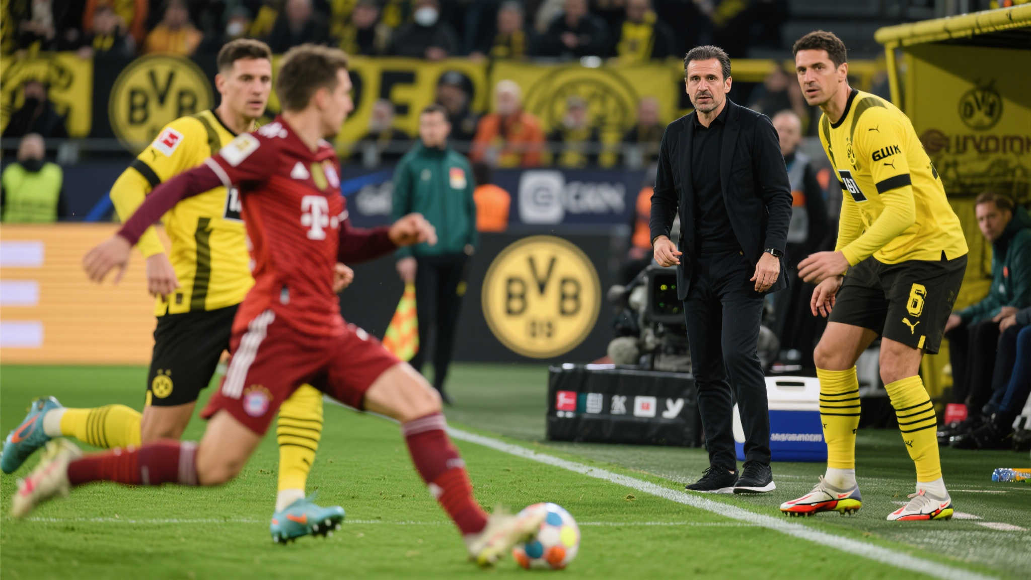 問及帕雷德 問及帕雷德