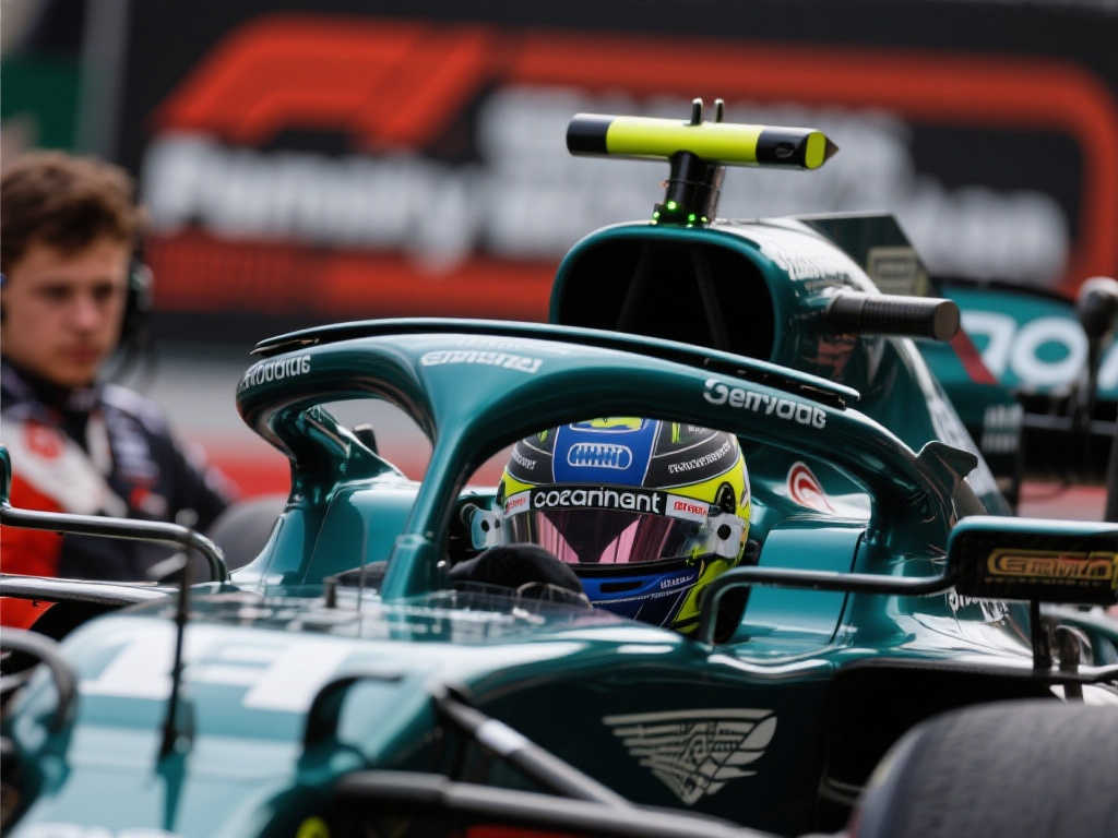 总结与启示 总结与启示