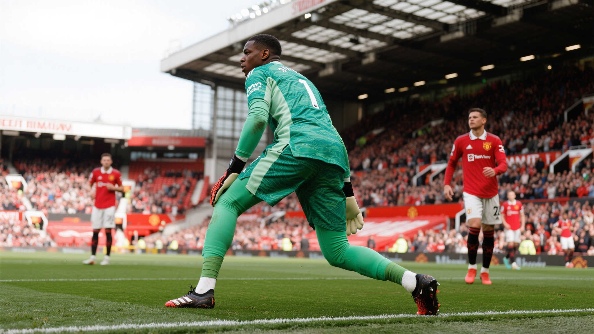 培養新人見 培養新人見