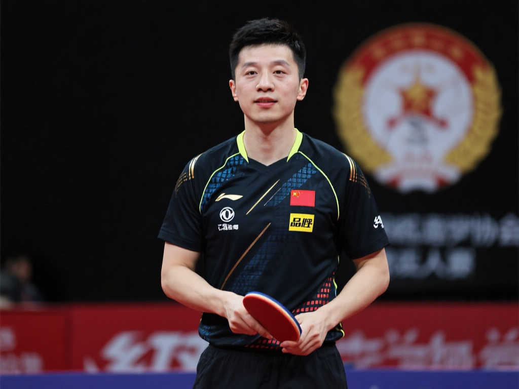 年世界杯小 年世界杯小