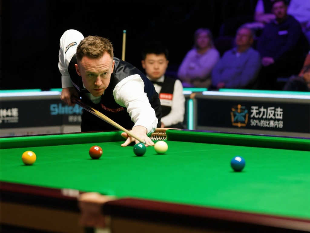 成功的案例 成功的案例