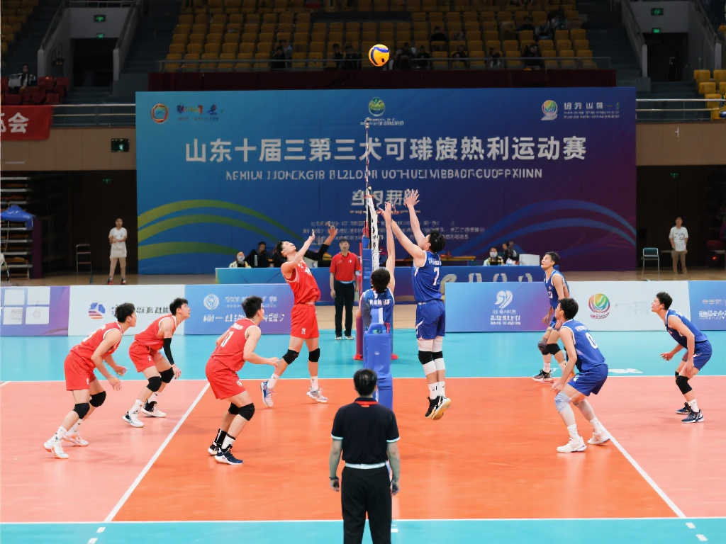 体中树立了 体中树立了